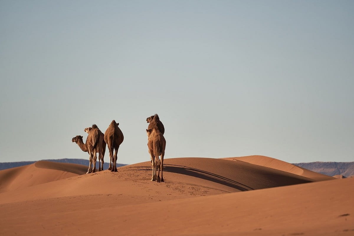 vacanze marocco